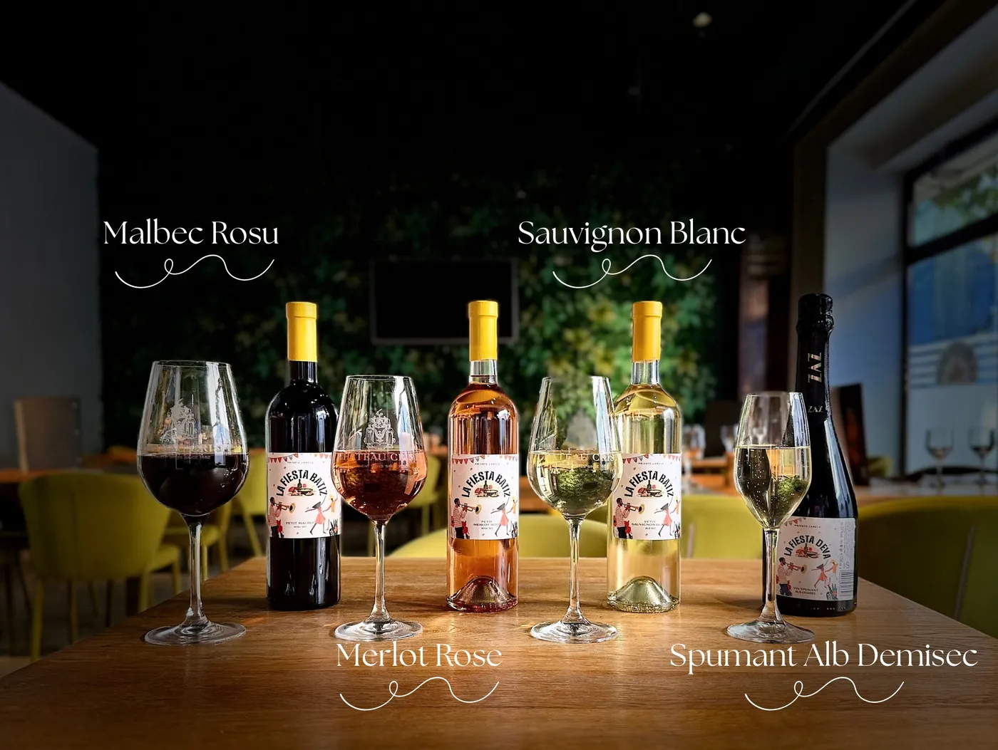 Vinurile casei la Deva: Malbec roșu, Sauvignon Blanc, Merlot rosé și spumant alb demisec